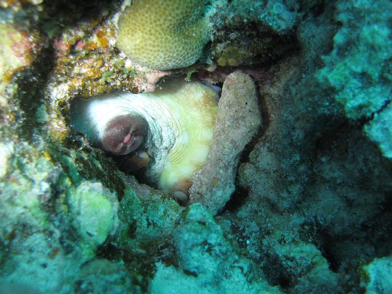 2009-12-02 15-11-43S.JPG